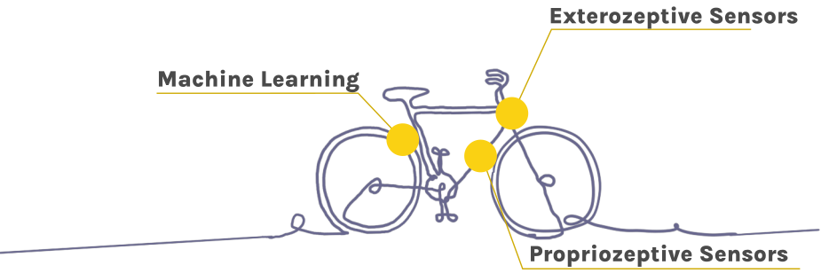 Bicycle setup